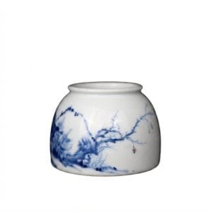 Blue & White Flower and Bird Water Pot